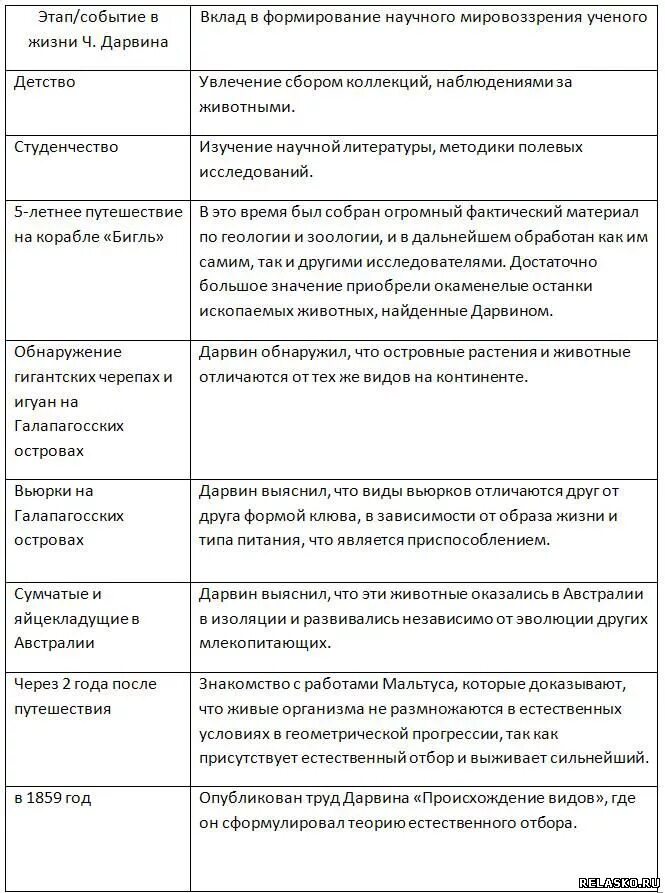 Этапы жизненного пути Чарльза Дарвина таблица. Таблица по биологии теория эволюции Дарвина. Эволюционное учение Дарвина таблица. Эволюционная теория Дарвина таблица.