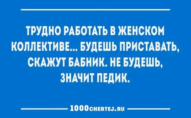 Отзывы сложно работать. Работать в женском коллективе трудно. Анекдот про коллектив. Мужчинам в женском коллективе работать трудно. Женский коллектив юмор.