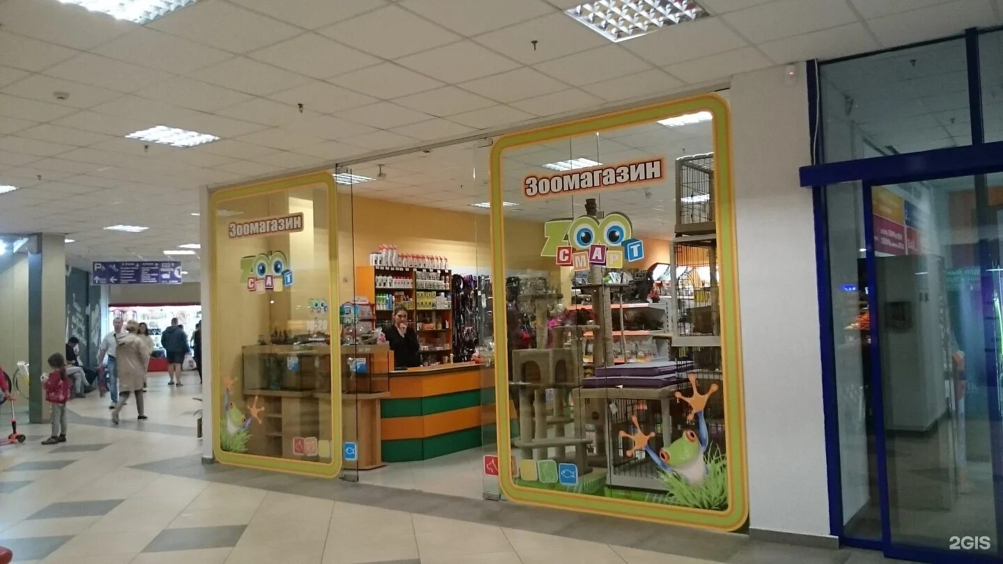 зоомагазин галерея. белая акула зоомагазин в ростове. кировский зоомагазин. зоомаркет пятигорск. зоомагазин в диане.