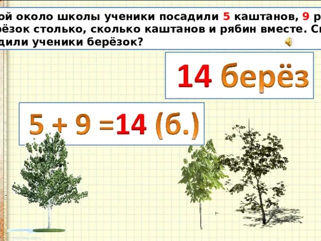 Рябина живет столько же сколько. Около школы посадили 8. Около школы посадили 8 лип. Около школы посадили 8 лип а берез. Около школы посадили 30 деревьев.