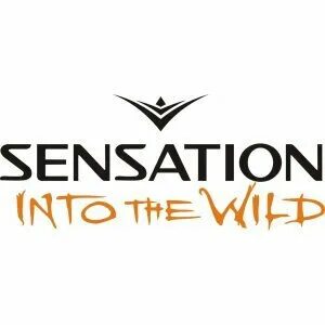 Into sense