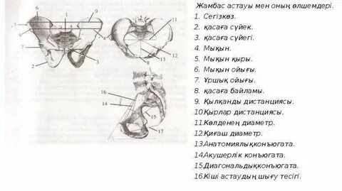 Күйеуім мені жыныстық қатынаспен жазалайды.