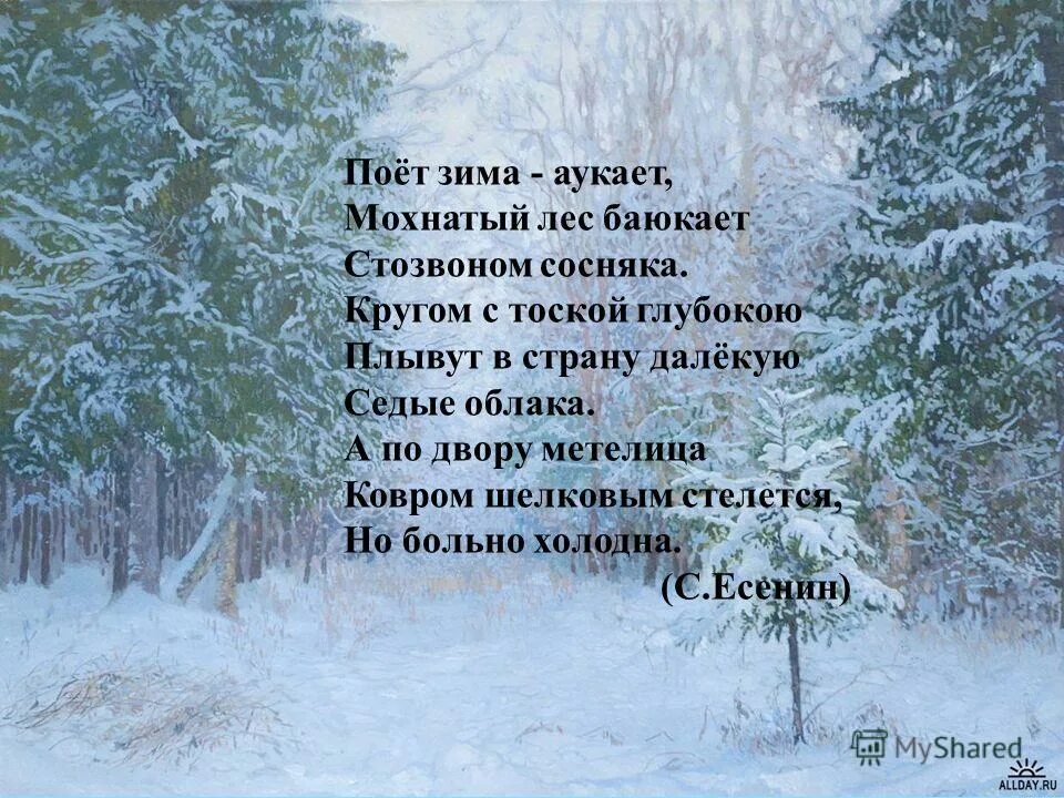 Поёт зима аукает мохнатый лес баюкает. Есенина по двору метелица ковром шелковым. Воробышки игривые. Мохнатый лес. Поёт зима аукает мохнатый лес.