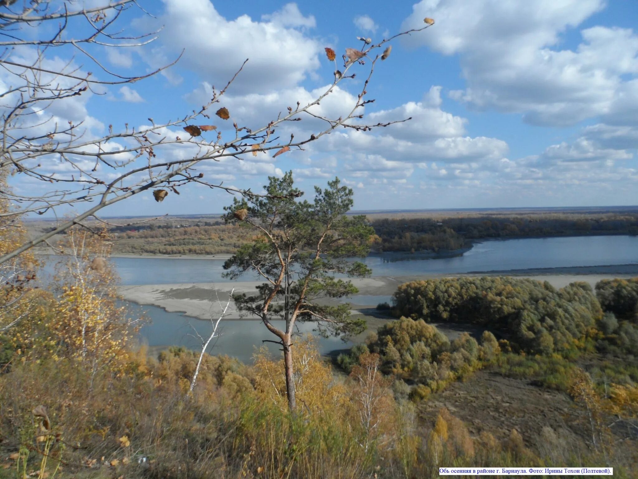 Обь село. Река Обь в Алтайском крае. Река Обь в Западной Сибири. Алтайский край Оби. Боровиково Павловский район река Обь.