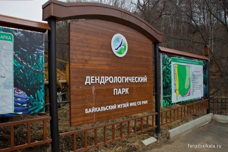 Байкальский музей листвянка. Листвянка иркутск музей. Хакасский заповедник визит центр. Дендропарк байкальского музея. Какую экспозицию можно посетить в байкальском.
