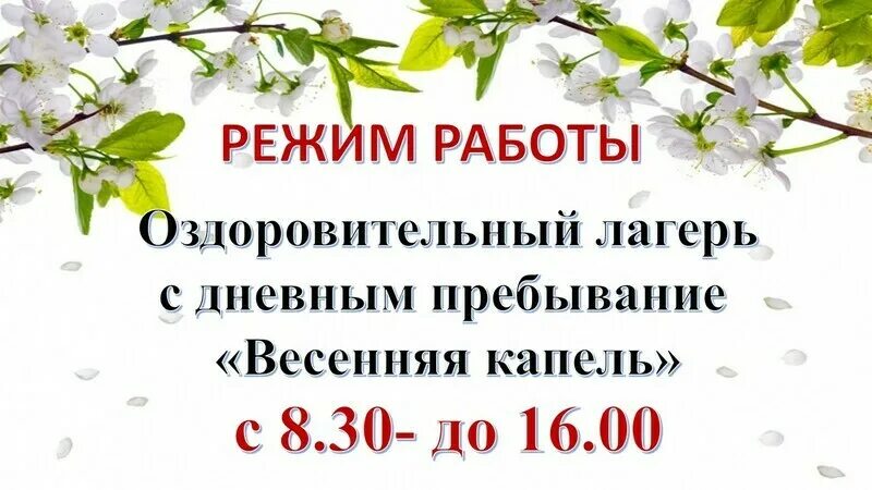 Лагерь дневного пребывания на весенние каникулы. Лагерь Весенняя капель. Весенний оздоровительный лагерь. Название весеннего лагеря. Девиз лагеря Весенняя капель.