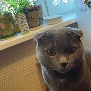 Тоже рассмотрю