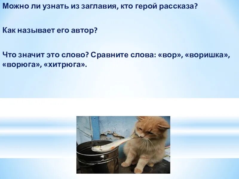 Паустовский кот ворюга презентация. Паустовский к. "кот-ворюга". Презентация к рассказу кот-ворюга. План рассказа про кота. Анализ рассказа кот ворюга