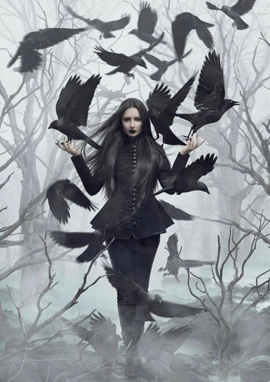 Колыбельная ворон. Девушка с воронами. Красивая ведьма с вороном. Фотосессия с вороном. Девушка ворона.