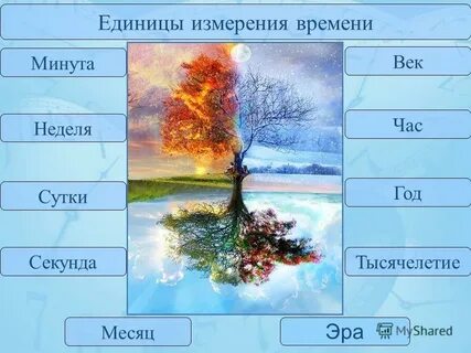 День 40 какой месяц