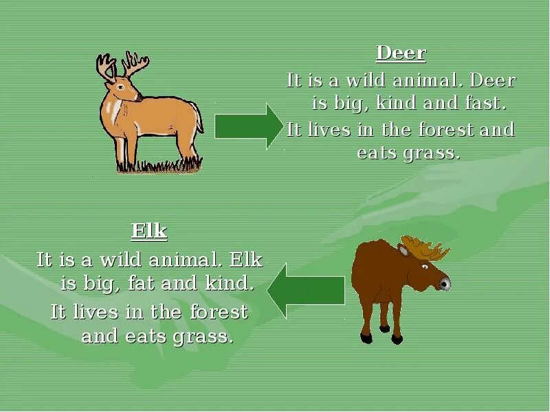 It is about animals. Animals презентация. wild animal презентация. презентация для дошкольников животные на английском языке. wild animals and domestic animals.