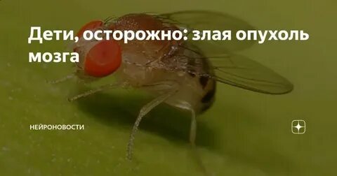 Мне сказали у меня опухоль мозга