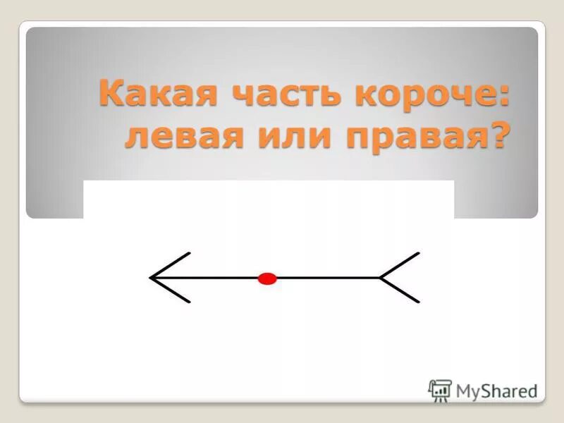 правая рука и где левая рука. петля правая и левая отличия. учим право лево с дошкольниками. стальная дверь входная открывание левое или правое. право лево для детей.