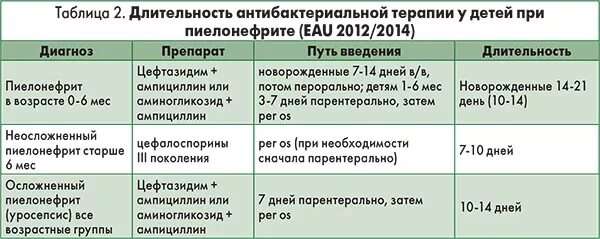 Пиелонефрит 2 триместр. Хронический пиелонефрит клинические рекомендации 2020. Острый пиелонефрит клинические рекомендации 2021. Пиелонефрит клинические рекомендации 2021. Схема лечения острого пиелонефрита.