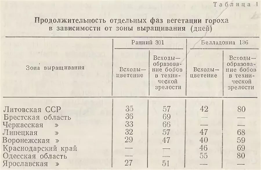 Таблица проращивания семян. Pisum sativum - горох посевной. Горох посевной листорасположение. Схема посева гороха. Горох.