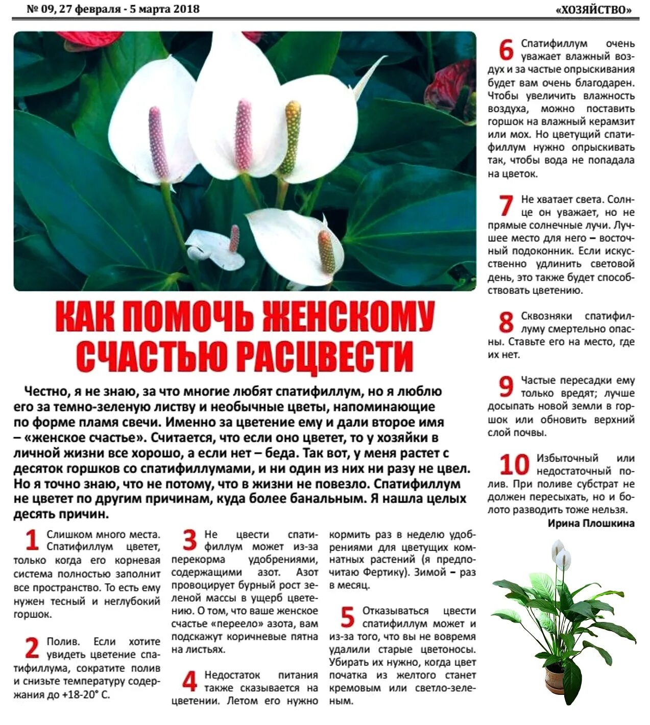 Какую землю любят цветы