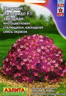 Джоконда сорт