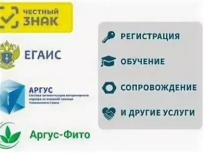 Фгис аргус фито