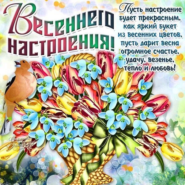 Пожелание хорошего весеннего дня. Открытки весеннего настроения. Весенние пожелания. Весеннего настроения пожелания. Пожелания хорошего весеннего дня.