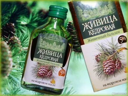 Свойства живицы кедровой