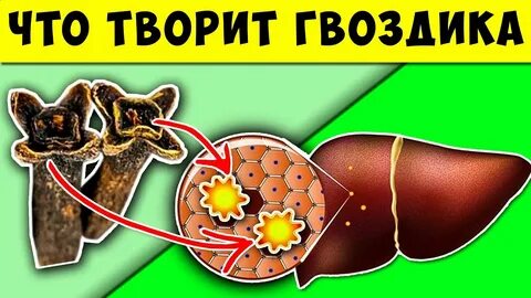 Жевать гвоздику каждый день