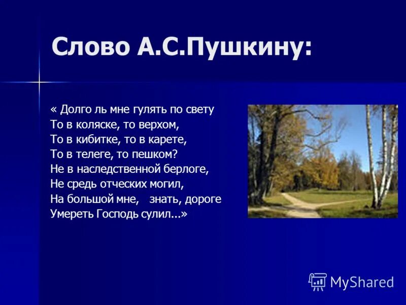погоня за каретой. дорожные жалобы пушкин. кибитка удалая пушкин. по следам пугачева". ямщик на облучке пушкин.