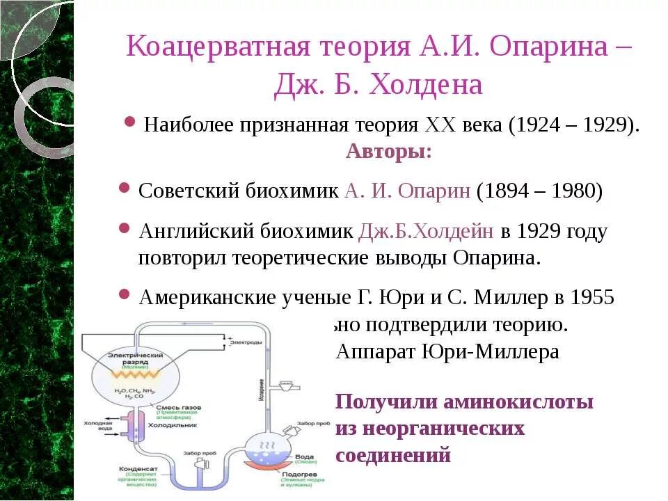 Гипотеза эволюции опарина холдейна