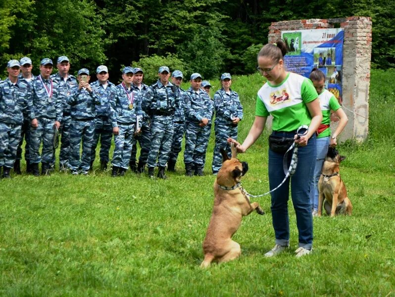 Кинологи цена обучения