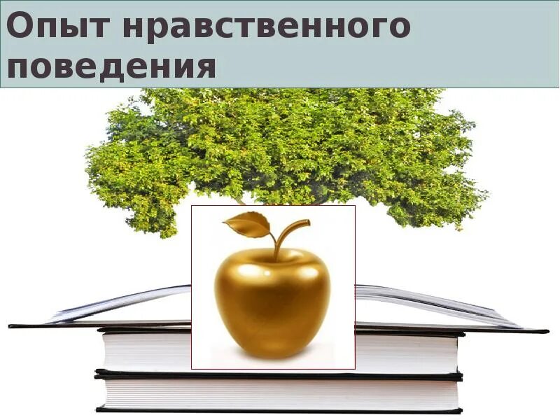 Ростки нравственного опыта поведения презентация. Ростки нравственного опыта поведения. Ростки нравственного опыта поведения заключение. Ростки нравственного опыта поведения сообщения. В чем ты видишь ростки нравственного поведения.