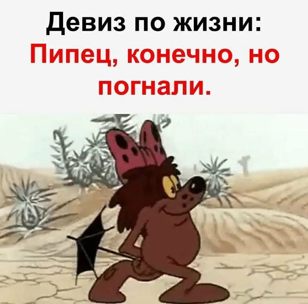 Нет уж конечно. Девиз по жизни пипец конечно но погнали. девиз по жизни пипец конечно. пиздец конечно но погнали. девиз по жизни пиздец конечно но погнали.