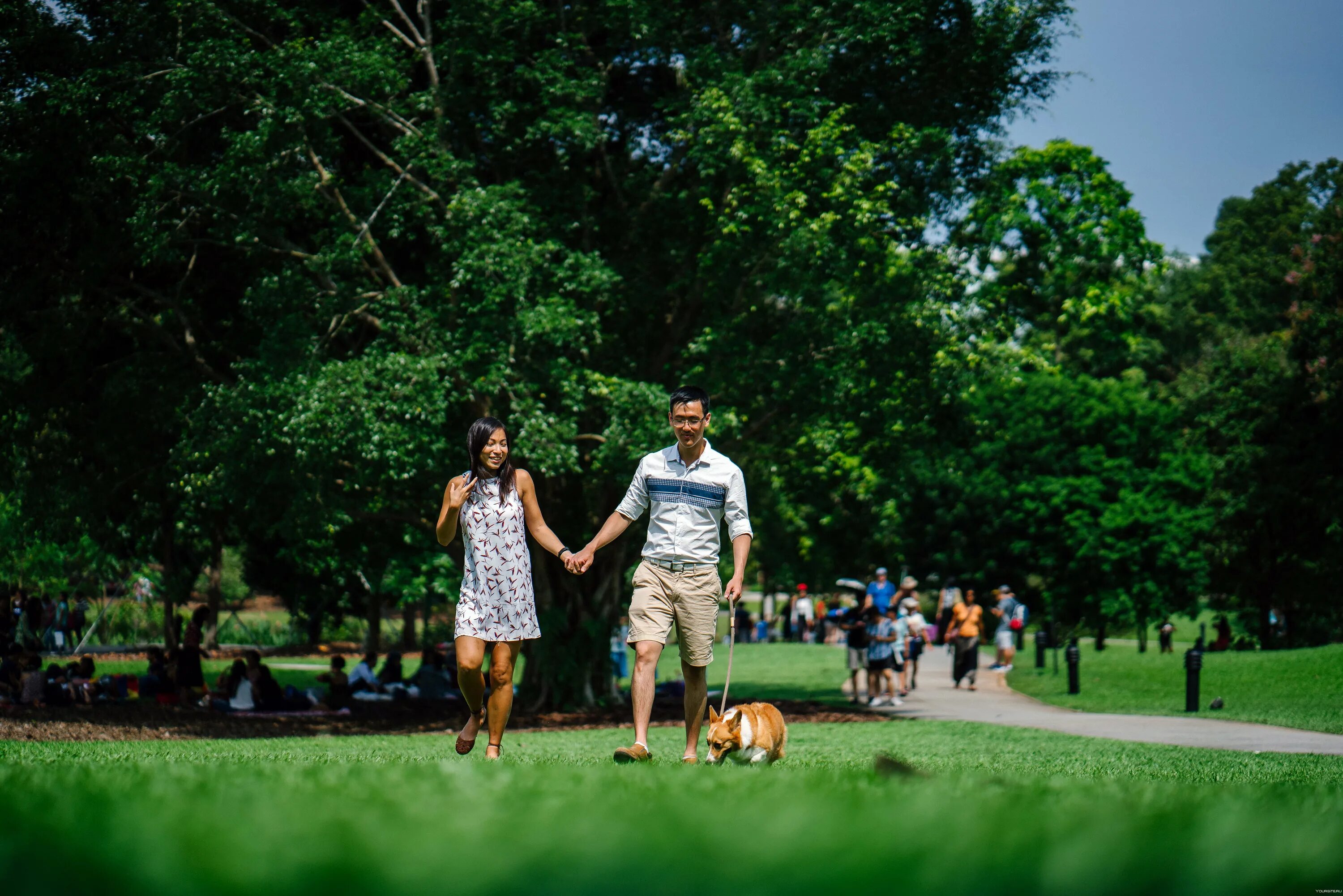 She s in the park. Гулять в парке. Прогулка. Люди гуляют в парке. Летом в парке.