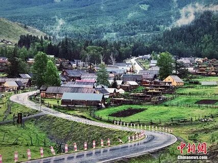 Китайский алтай