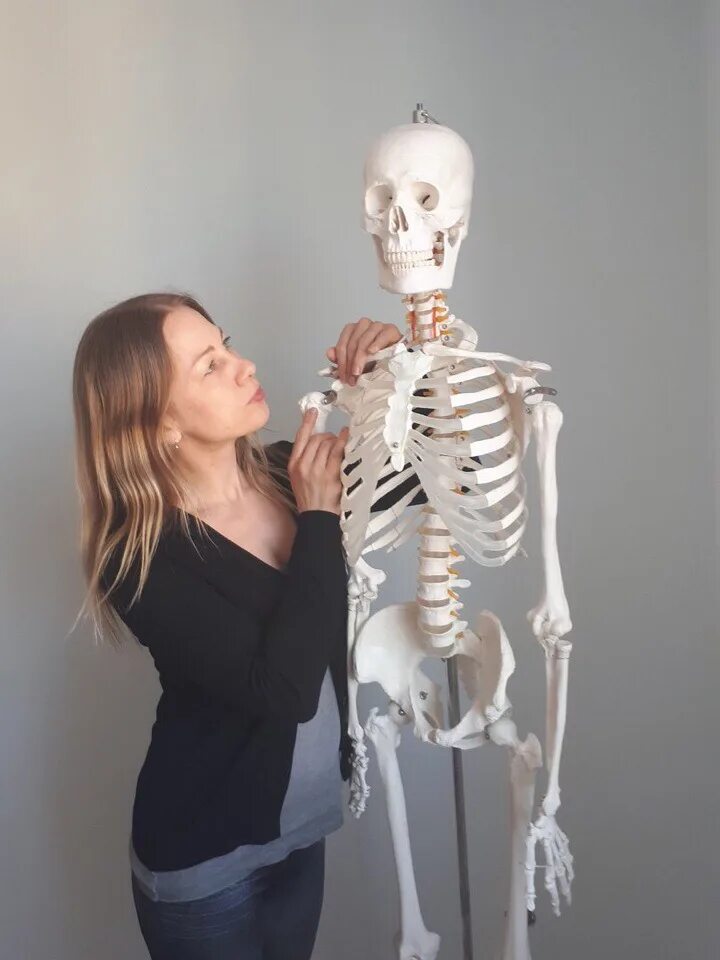 Люди скелеты живые. Живой скелет живого человека.