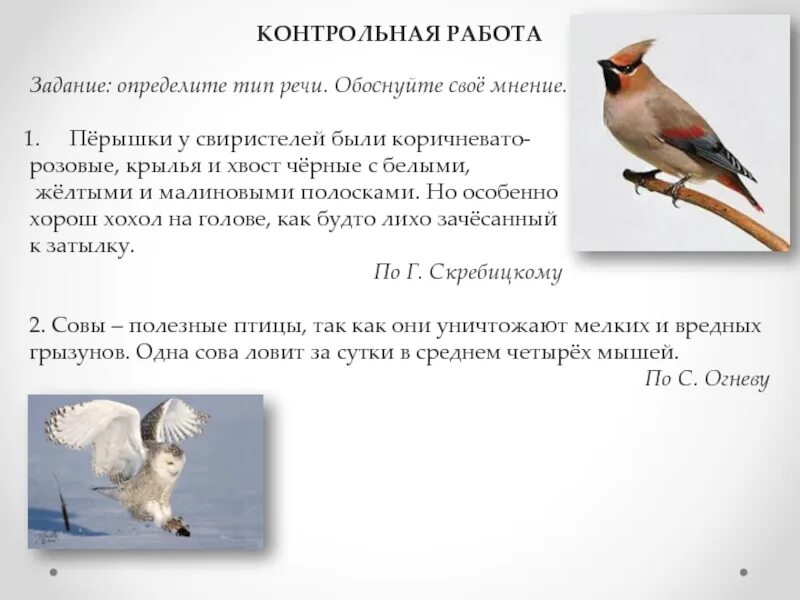 Перышко свиристеля. Свое мнение обоснуйте. Свиристель склонение 2 или 3. Свиристель склонение. Свиристели глагол