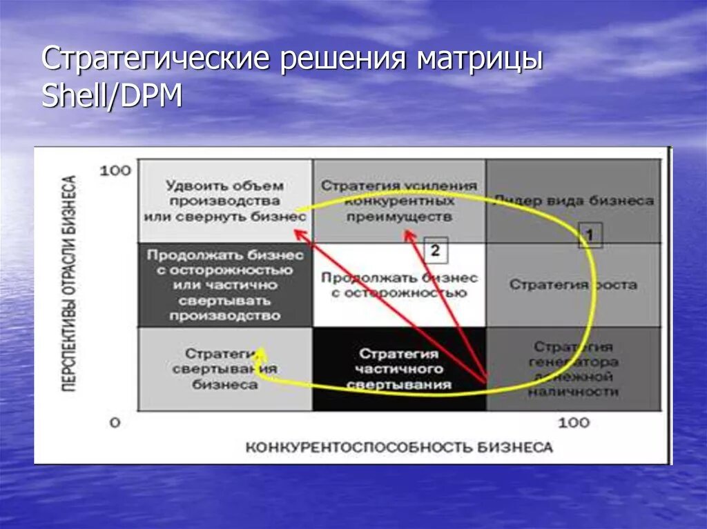 Модель Shell/DPM. Модель Шелл ДПМ. Матрица Шелл ДПМ. Матрица направленной политики компании Шелл. Модель стратегического решения