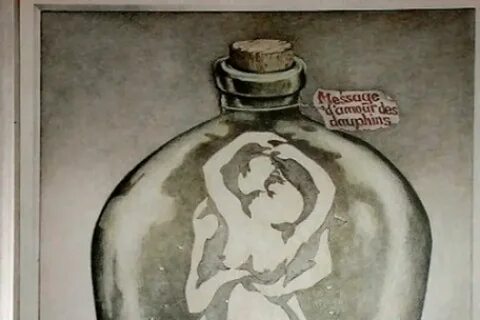 Картинка с дельфинами тест