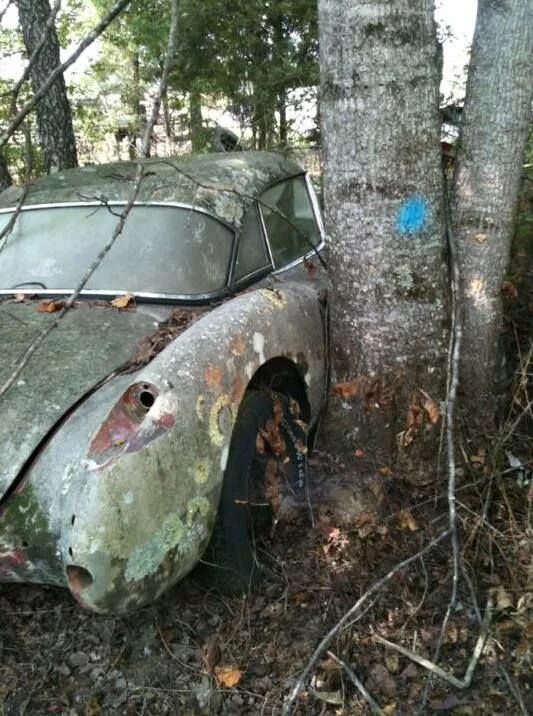 Заброшенные авто в лесу. Заброшенные авто. Брошенные машины в лесу. Газ м20 автосвалка. Автомобиль в лесу.
