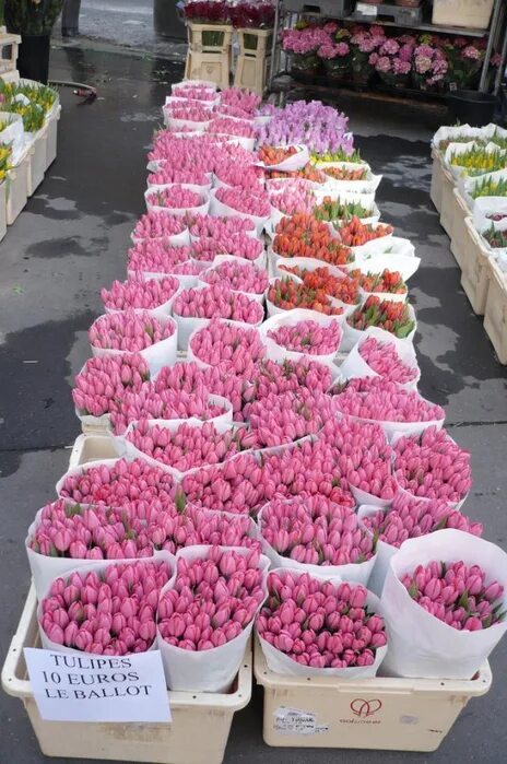 эквадорская роза на рижском рынке. цветочный рынок в москве рижский. рижский рынок, москва, проспект мира, 88. цветочная база на рижской. до скольки работает рижский рынок.