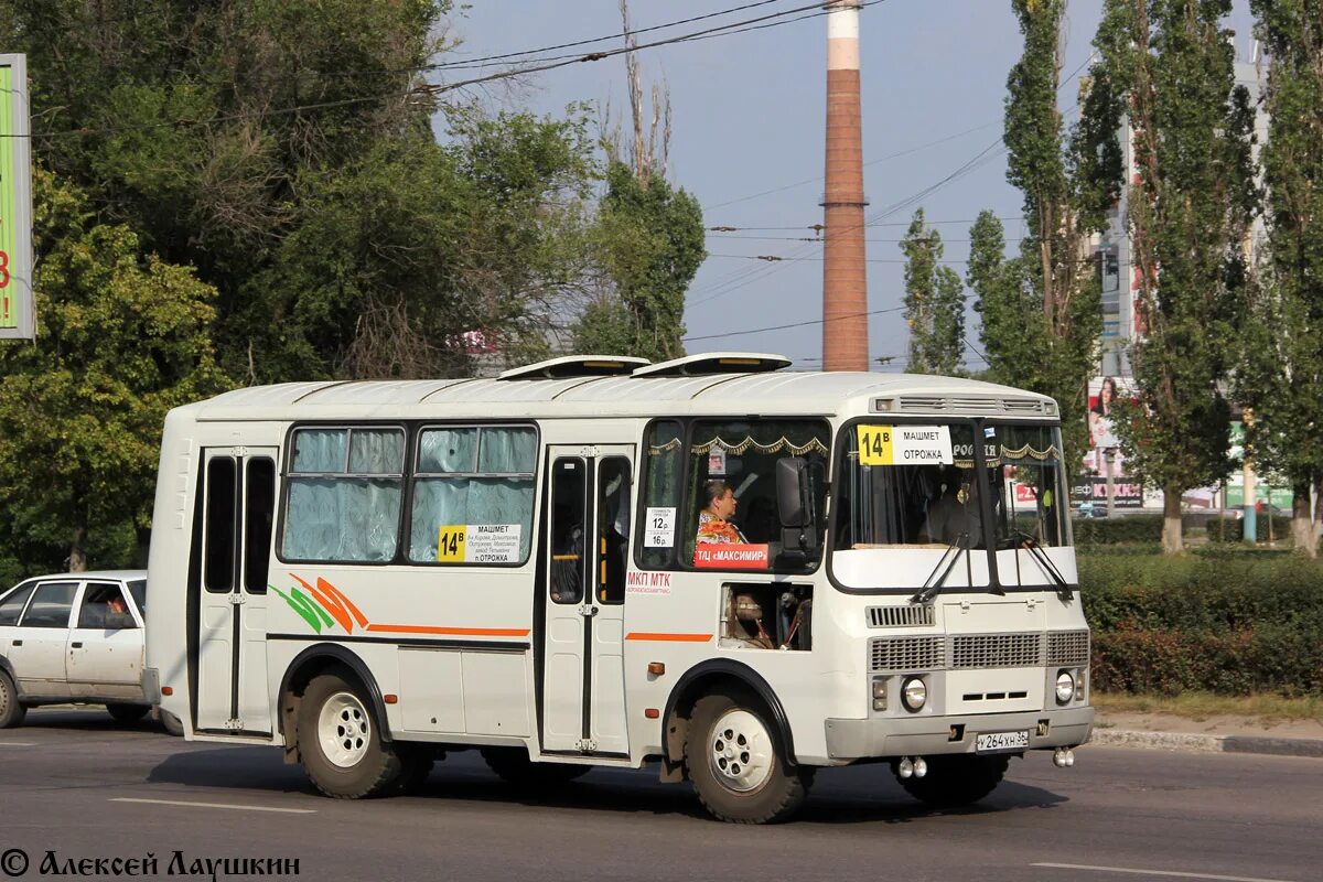 Паз 42 34. Воронежский автобус 14в 5692. ПАЗ 32053. ПАЗ 32053 Диса. ПАЗ 32053 Воронеж.