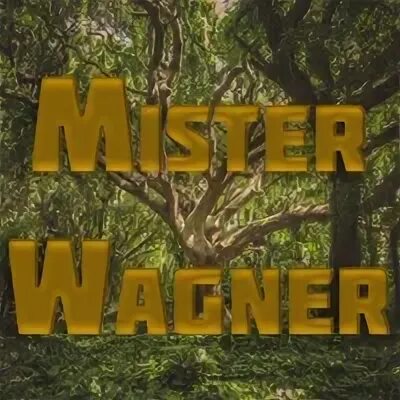 Who is mr wagner. Who is mr wagner