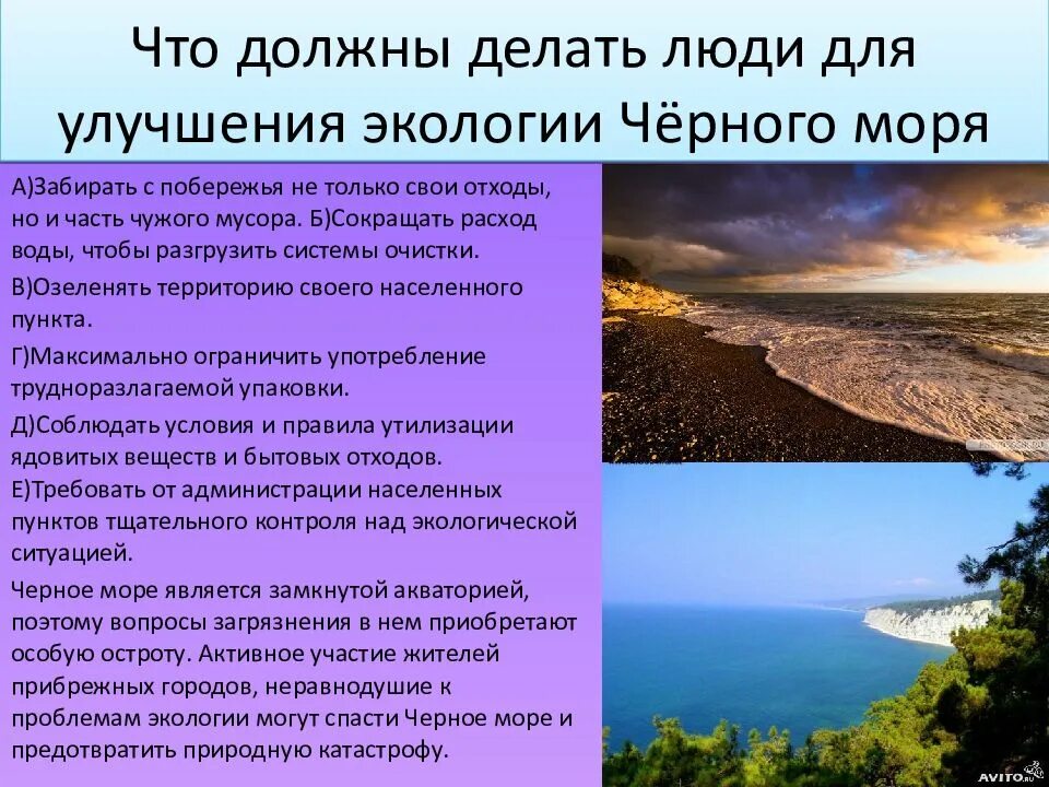 Решение проблем черного моря. Экологические проблемы черного моря. экологические проблемы черноморского побережья. экологические проблемы субтропиков. экологические проблемы черноморского побережья кавказа.