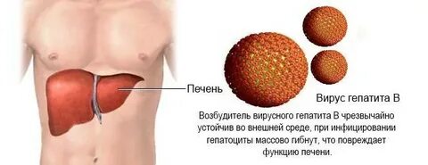 У мужа гепатит с можно