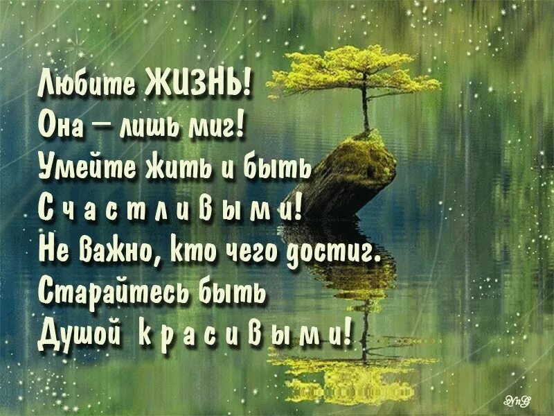 Жить уметь ценить. Любите жизнь любите каждый миг. Любите жизнь она лишь миг умейте жить и быть счастливыми. Любите жизнь она лишь миг картинки. Любите жизнь цените жизнь.