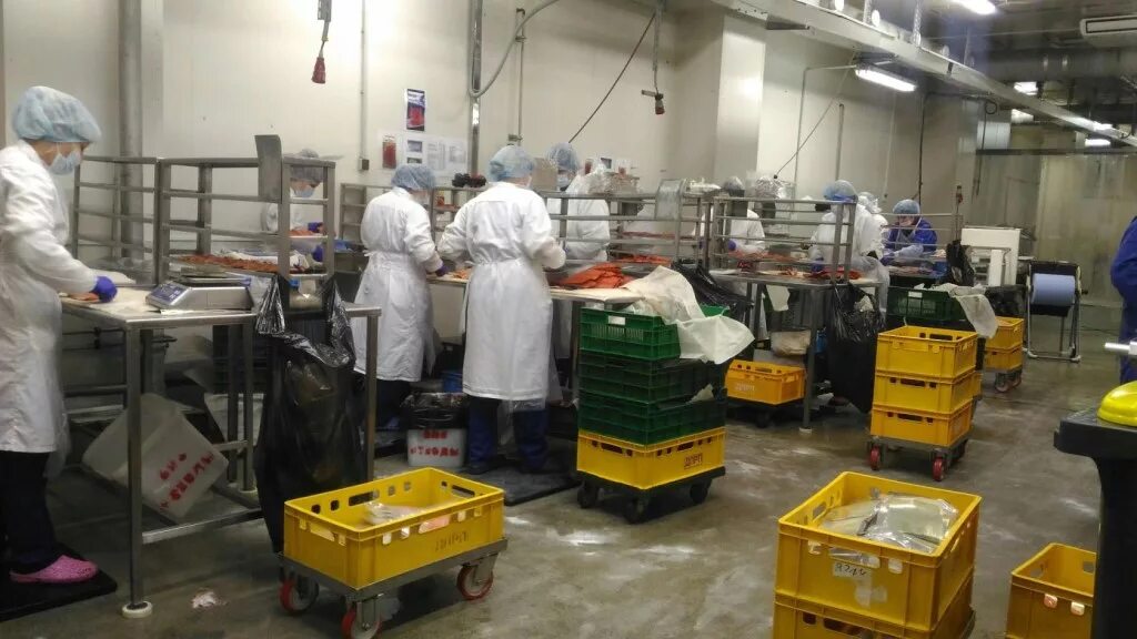 Работа на производстве в спб вакансии. Цех пищевого производства. Упаковщик. Упаковщик в цех. Фасовочный цех.