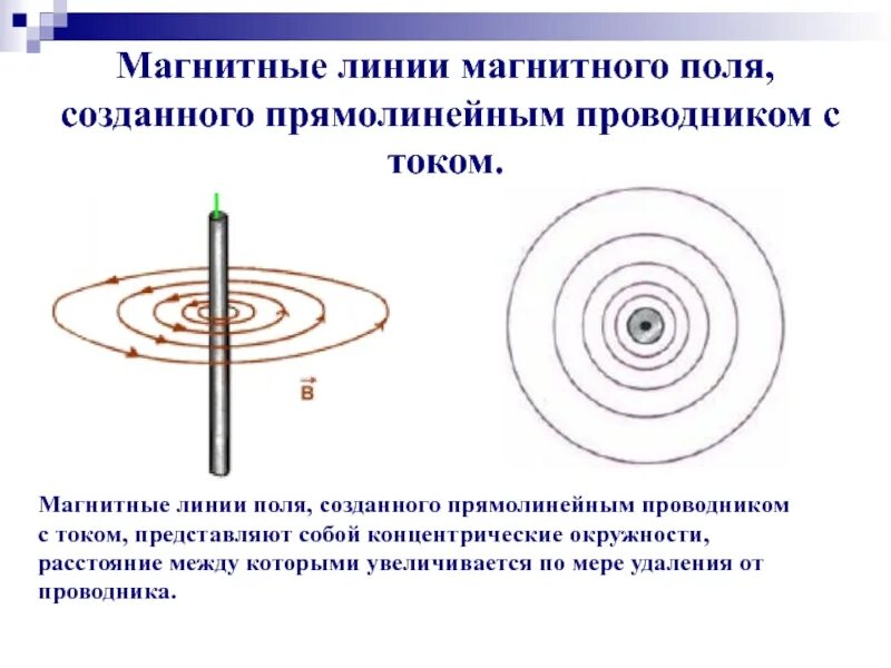 Направление магнитной линии рисунок. Магнитные линии поля создаваемого прямолинейным проводником с током. Силовые линии магнитного поля прямолинейного проводника. Направление магнитных линий вокруг проводника с током. Картина силовых линий магнитного поля прямого тока.