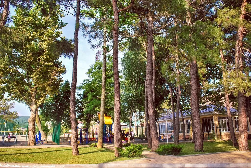 Село дивноморское пансионат приморский. Пансионат приморский дивноморская геленджикский район. Дивноморск пансионат приморский. Пансионат приморский дивноморское бассейн. Дивноморск пансионат приморский.