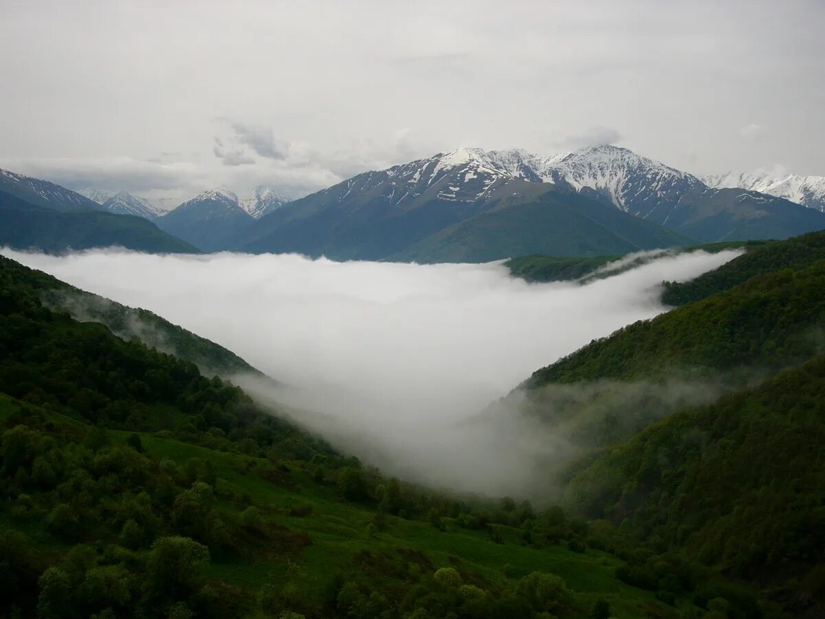 Свет северный кавказ. Горы Кавказ Ведено. Чечня кавказский хребет. Агишбатой золотые горы Чечня. Горы Чечни фотограф Берсанов.