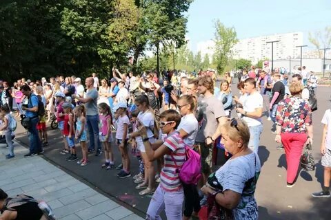Погода митино курганская область на 3 дня
