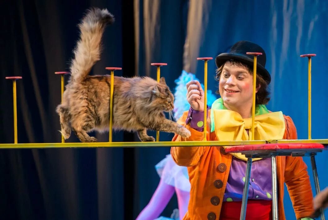 Кошачий цирк куклачёва. Цирк кошек куклачева. Куклачёв юрий цирк. Шоу котики. Цирковой кот.