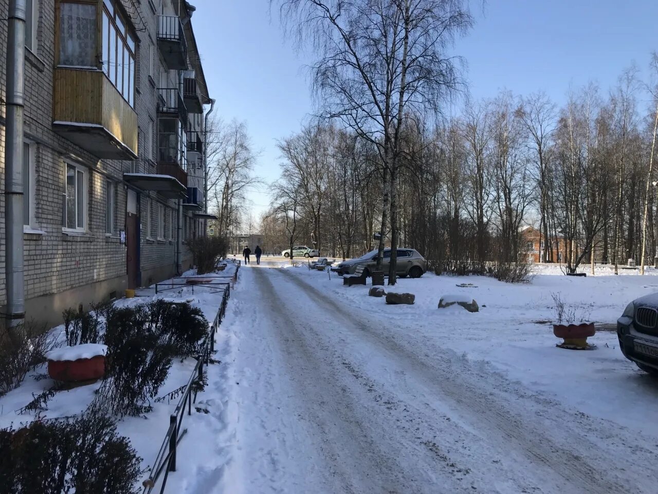 Погода низино ломоносовский. Низино Ломоносовский район. Низино Центральная улица 12. Поселок Низино Ленинградской области. Низино Центральная улица дом 6.